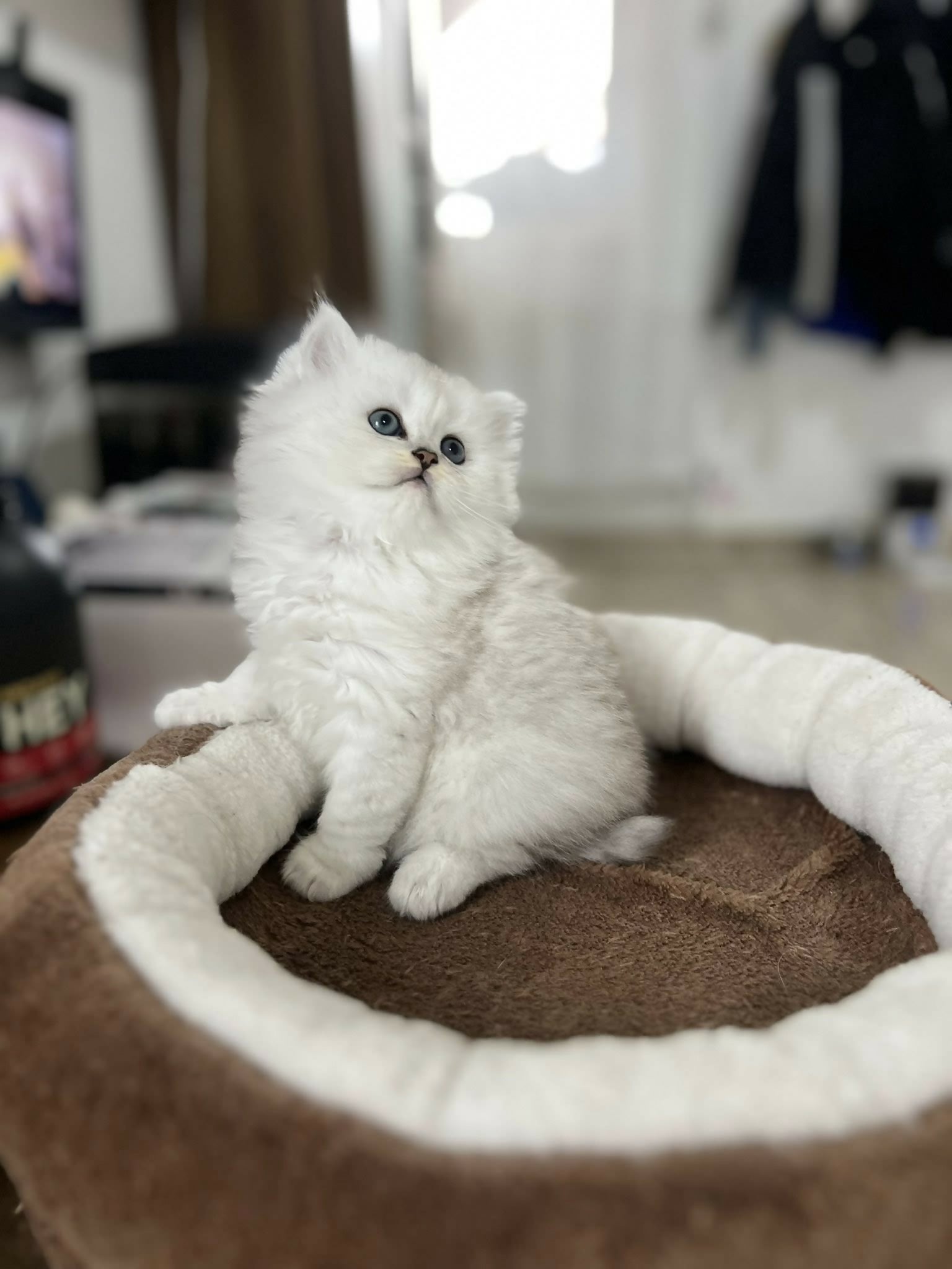 493981523_705097062080174_3564932948716051103_n