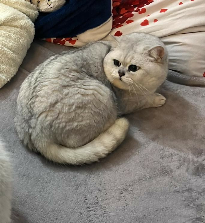 480940633_676184131638134_7091471722167044849_n