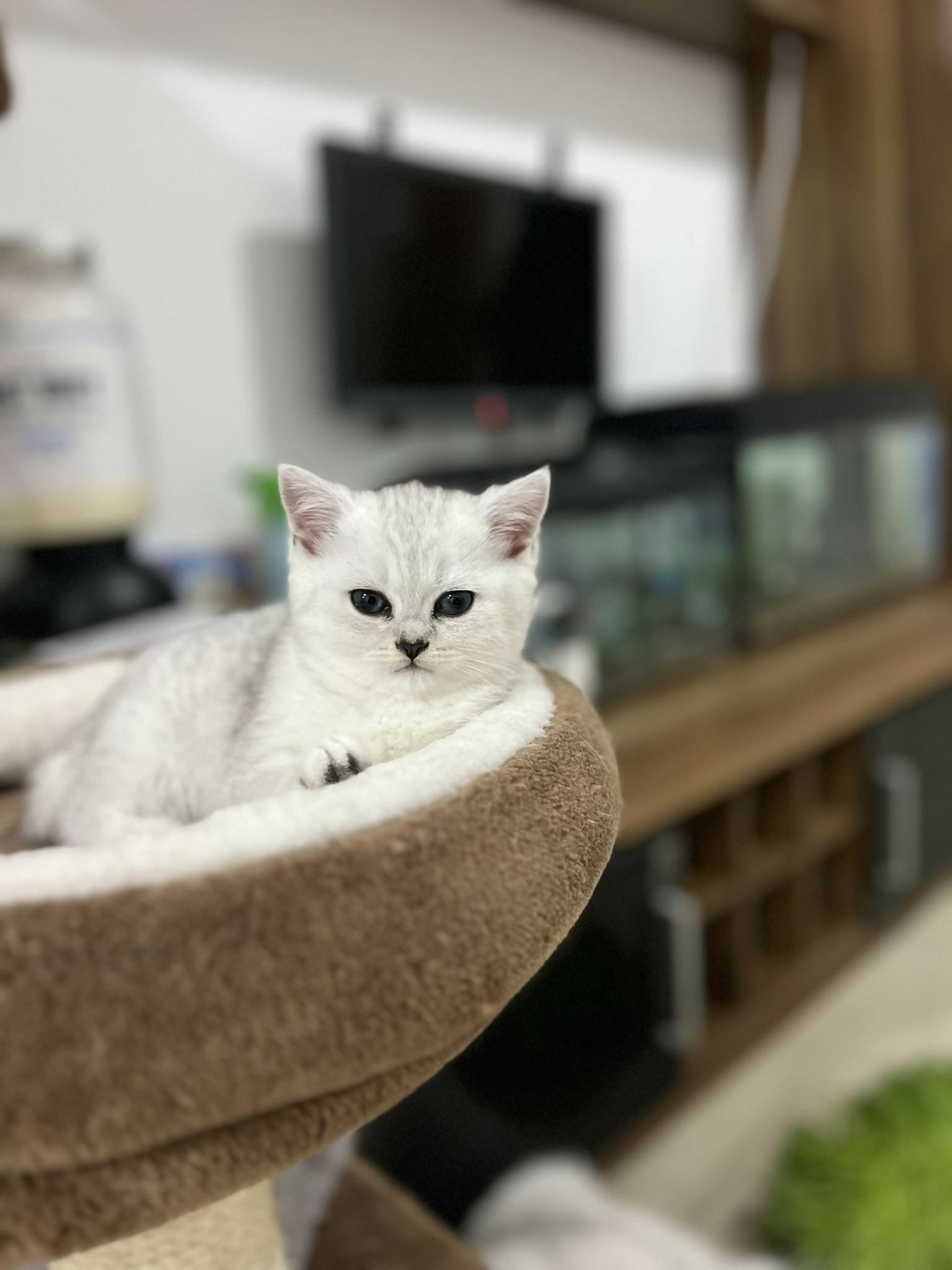 495678543_717905200799360_3468289490127603964_n