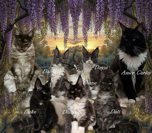 FAMILIA PISICIASCÀ-2