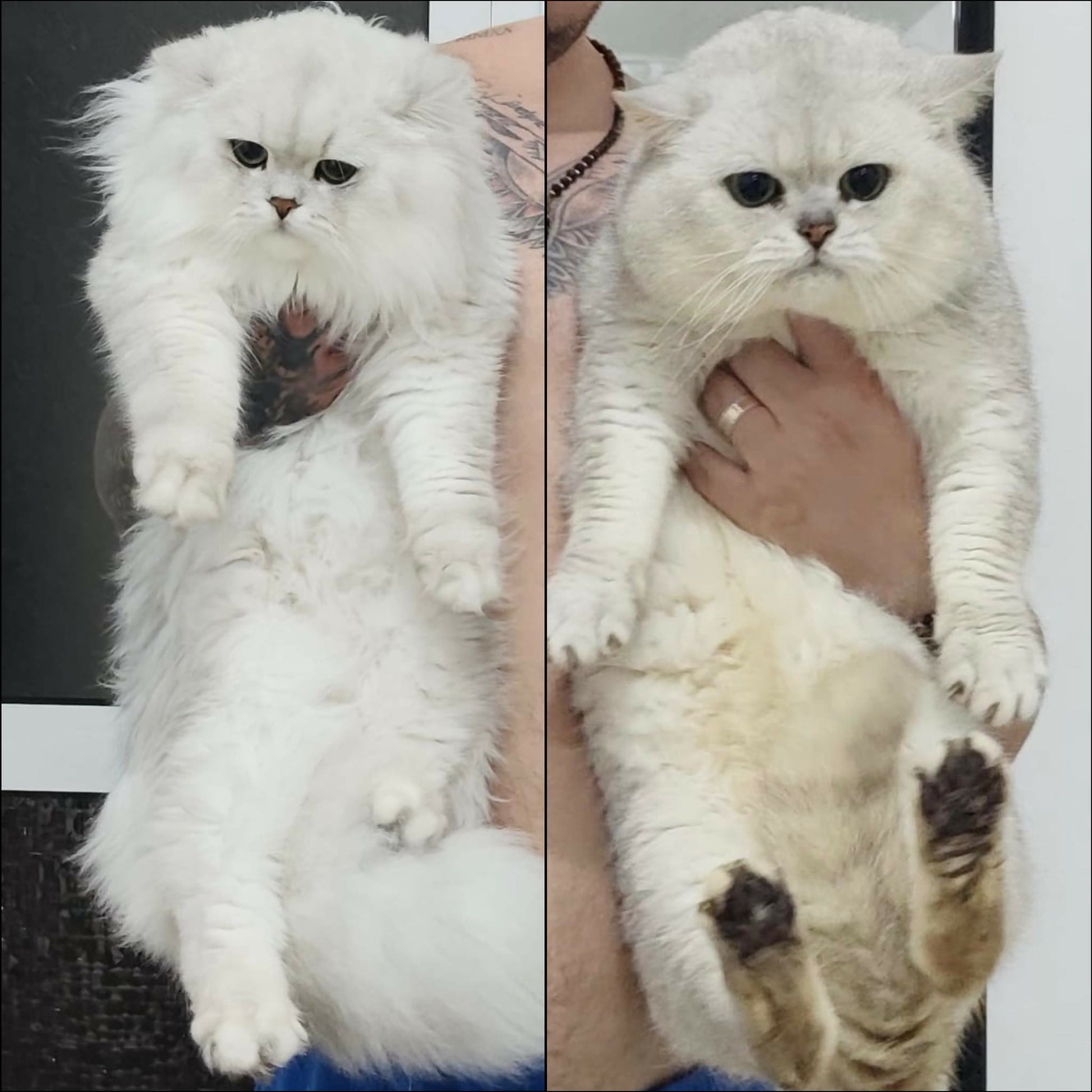 493292955_718482067408340_2887896099103587139_n